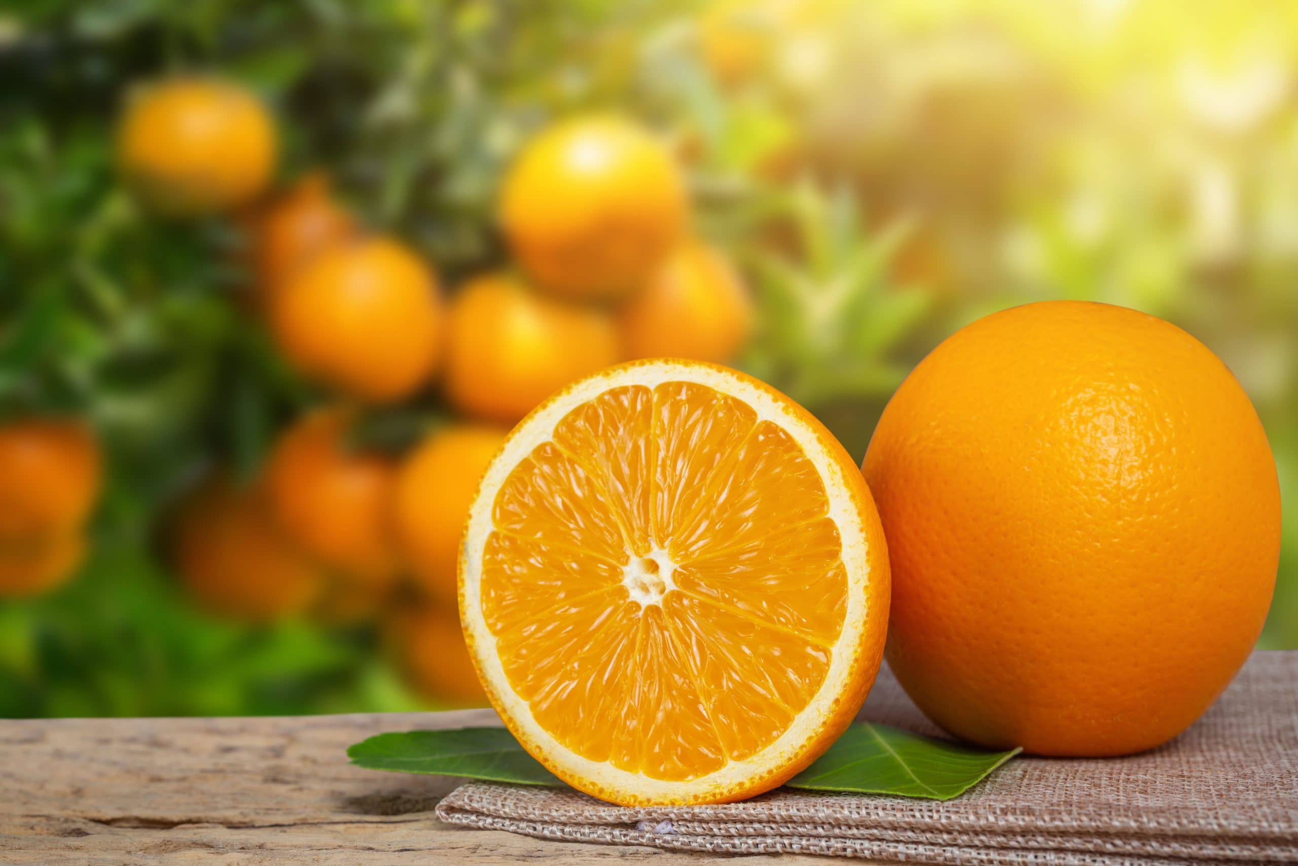 Naranja vitamina C