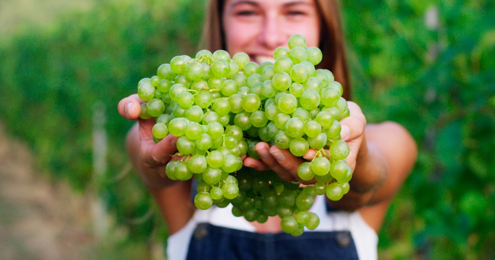 salud y beneficios de las uvas