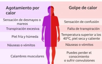 Los Efectos de los Cambios de Temperatura en el Cuerpo
