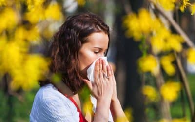 ¿Cómo lidiar con las alergias del verano?