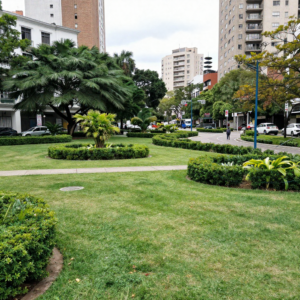 adeslas alcazar de san juan marketing soledad consejos de salud1