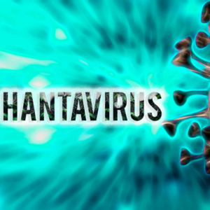 HANTAVIRUS